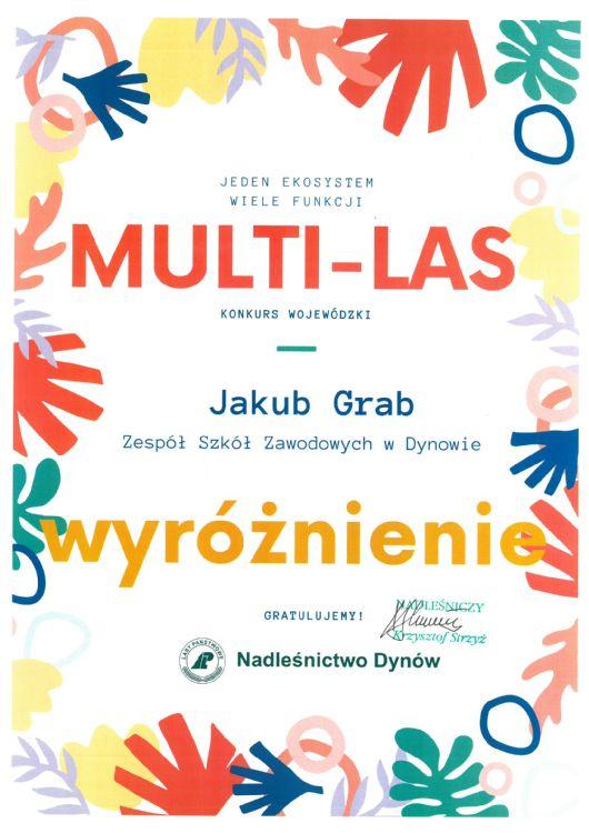 Multi - Las - Jakub Grab - wyroznienie..jpg